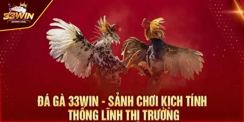 Tổng quan sơ lược thông tin về đá gà 33WIN